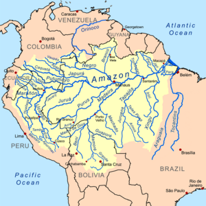 Der Amazonas und sein Einzugsgebiet