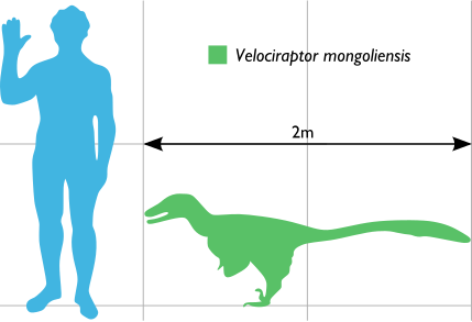 Datei:Vraptor Scale.svg