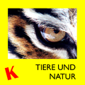 Klexikon Tiere und Natur.png