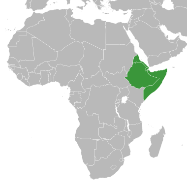 Datei:Horn of Africa states.svg